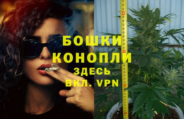 PSILOCYBIN Богданович