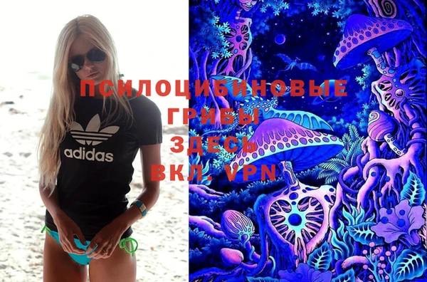 ECSTASY Богородицк
