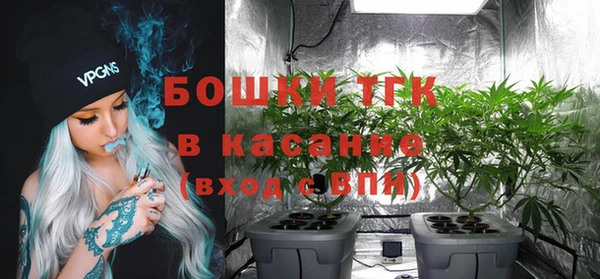 ECSTASY Богородицк