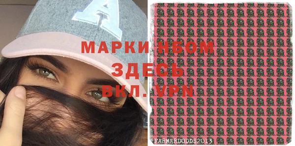 PSILOCYBIN Богданович