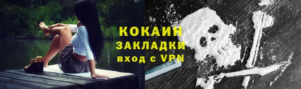 соль ск Белокуриха