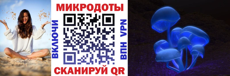 где найти   Буй  Псилоцибиновые грибы Cubensis 